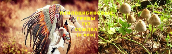 стафф Михайловка