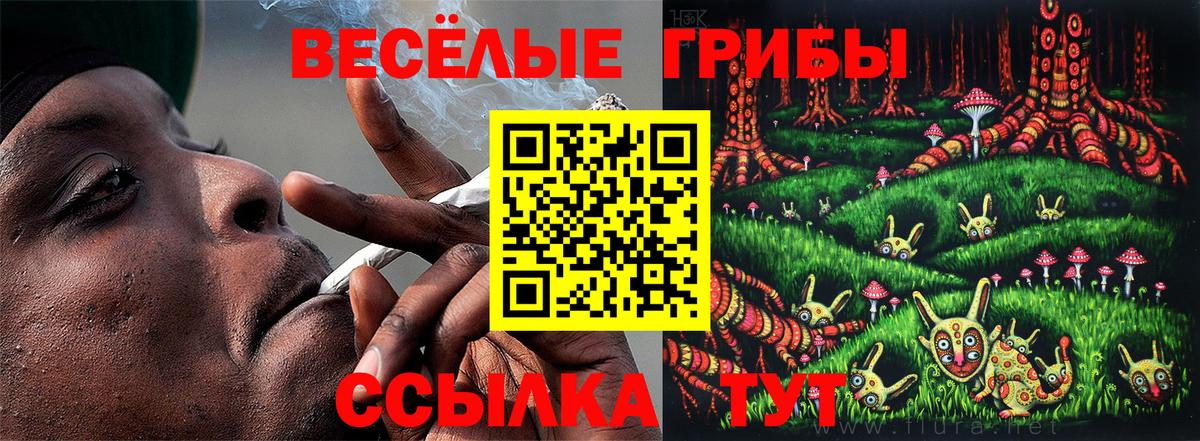Псилоцибиновые грибы Psilocybe Мегион