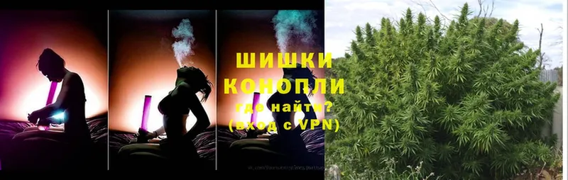 Бошки Шишки OG Kush  Мегион 